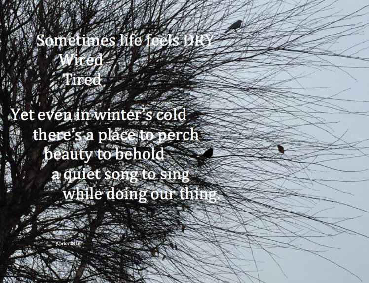 sunday-tree-poem