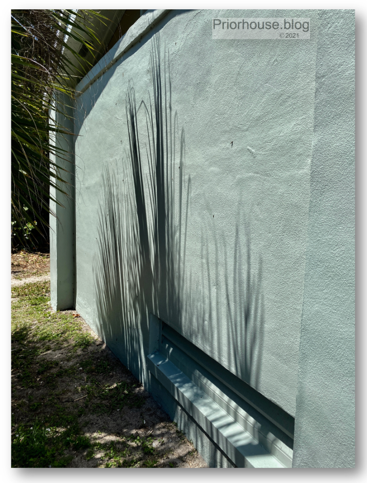 shadow-shade-lens-artist-june-2021-green stucco and palms