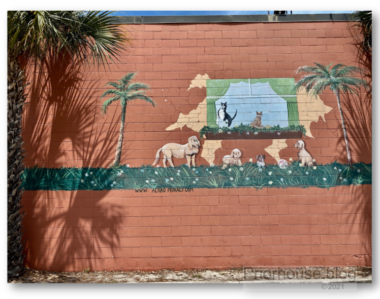 shadow-shade-lens-artist-june-2021- mural art dogs